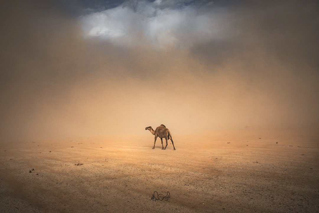 Photo by <a href="/Alrowis_1/">عبدالله الرويس ABDULLAH ALROWIS</a>  #SaudiArabia