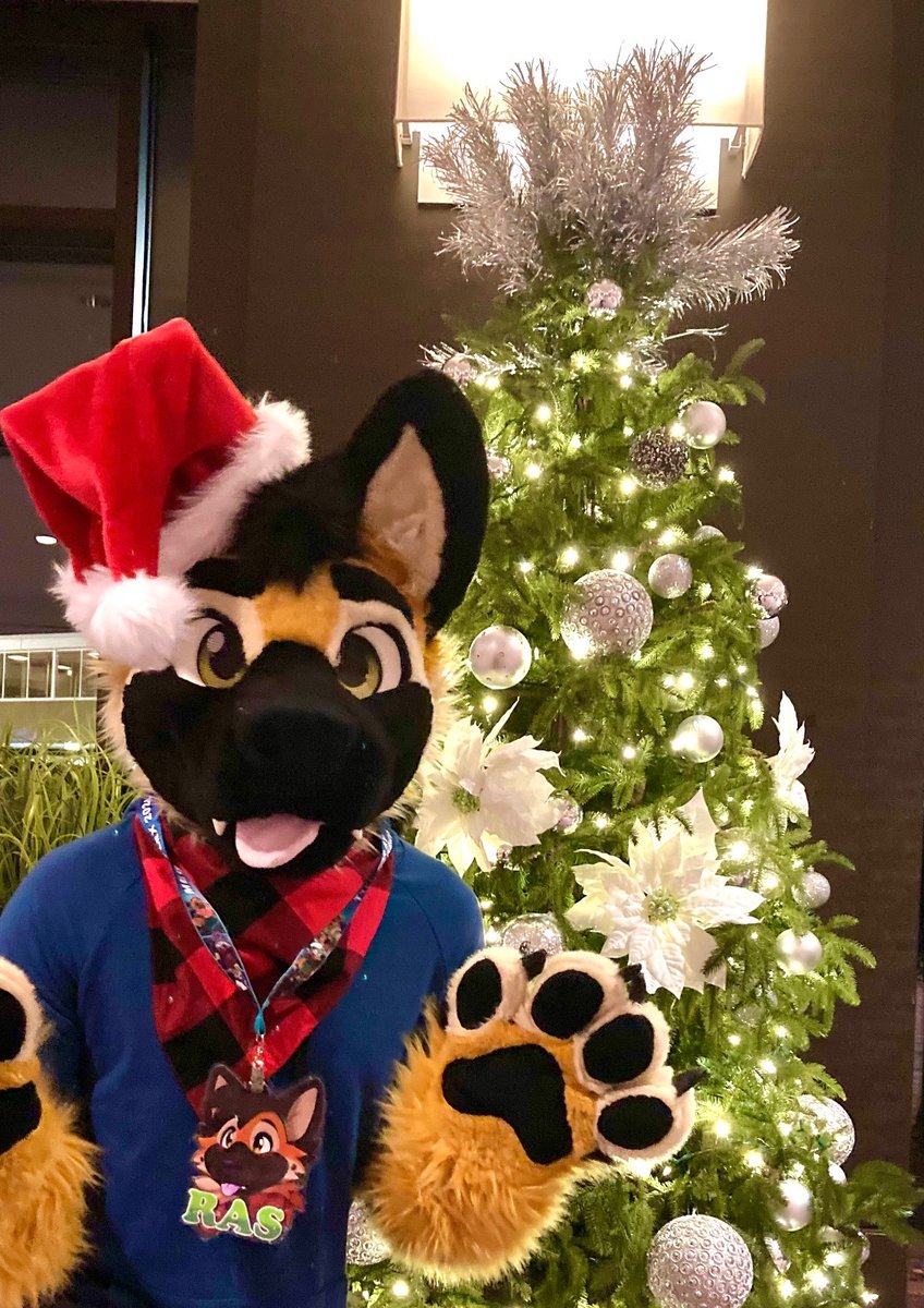 Ras_Shep's tweet image. Happy last #FursuitFriday of 2024, had a great time suiting at cons and meeting a bunch of new fluffs!🐾🦴