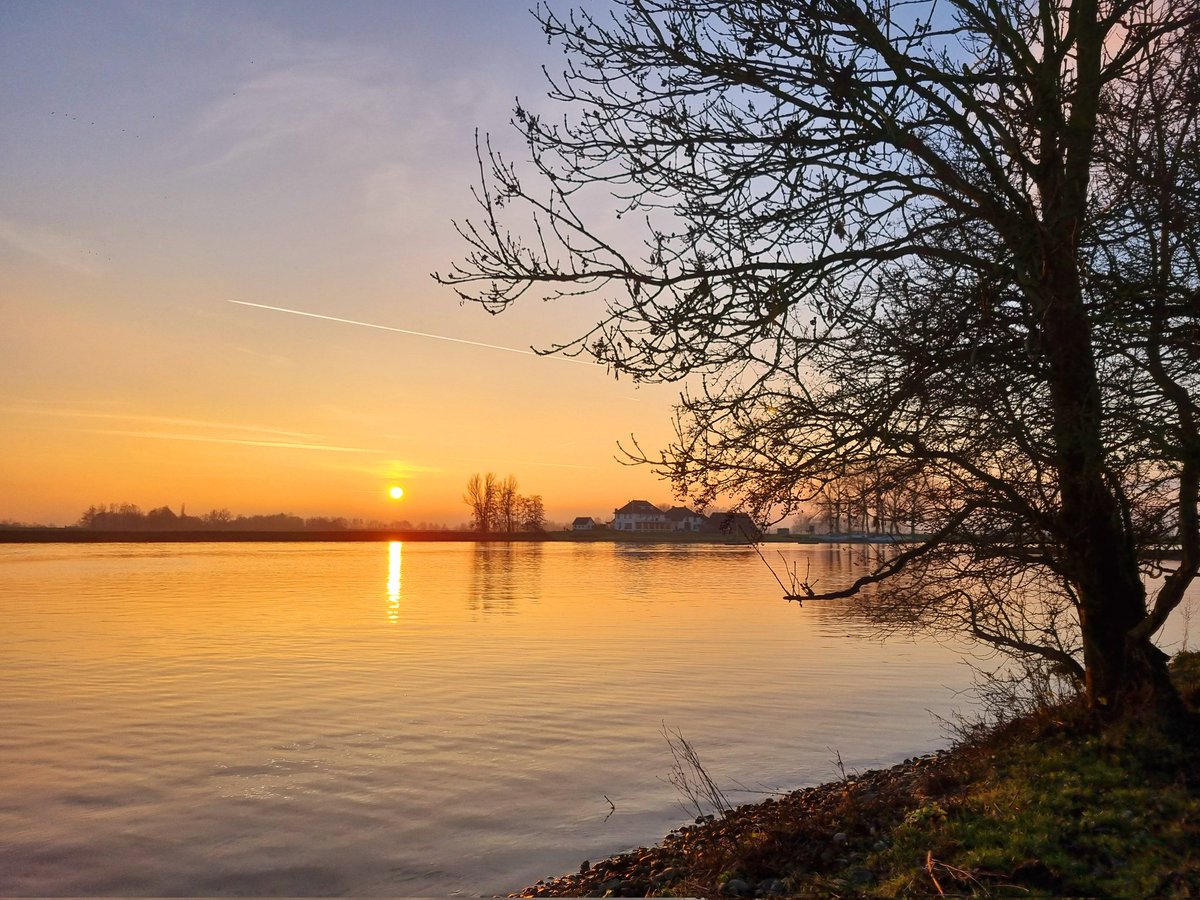 DietermanTjark's tweet photo. Het zonnetje had het gister moeilijk met de #mist, maar liet zich in de middag steeds nadrukkelijker zien. Fijne zaterdag😀 #natuur #landschap #winter #Rhenen #ElstUt #Elsterbuitenwaard #Nederrijn #Veerhuis #zonsondergang #mooieluchten https://t.co/dQB8Po8XKB