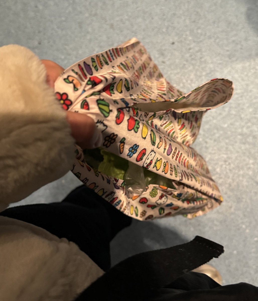 브루클린에서 Baggu의 키티 장바구니와 만남