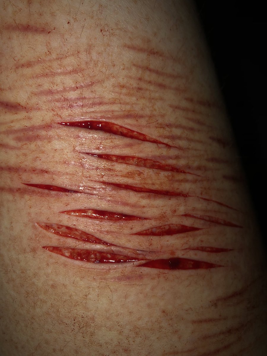 MiamiRendall's tweet photo. FAKE!! ALL SFX!!
:
:
:
:
:
:
#shtwt #998twt 
:
:
:
:
:
Mini sesh!! :D https://t.co/UXoPNvFanW