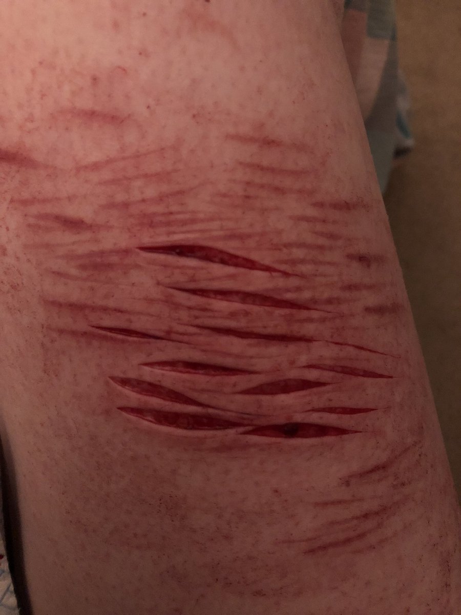 MiamiRendall's tweet photo. FAKE!! ALL SFX!!
:
:
:
:
:
:
#shtwt #998twt 
:
:
:
:
:
Mini sesh!! :D https://t.co/UXoPNvFanW
