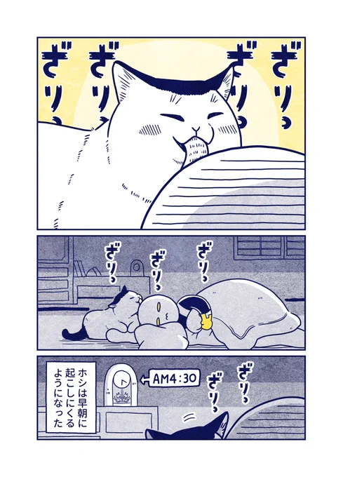 (6/7) 