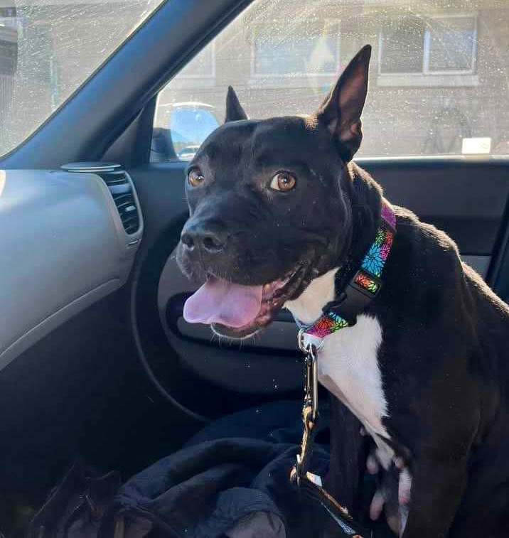 Donna Lac tweet media