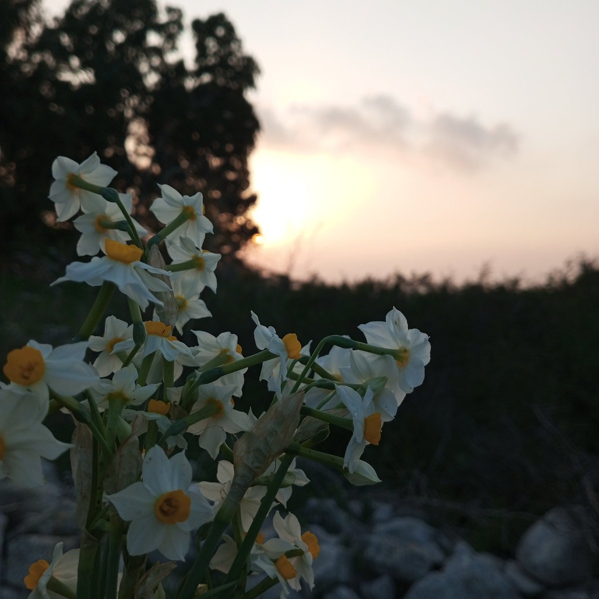 يَا آل بَيْت مُحَمّد سَادتِي
أيُخذَلُ مَلهُوفًا أستغاثَ بِكُم 💚؟