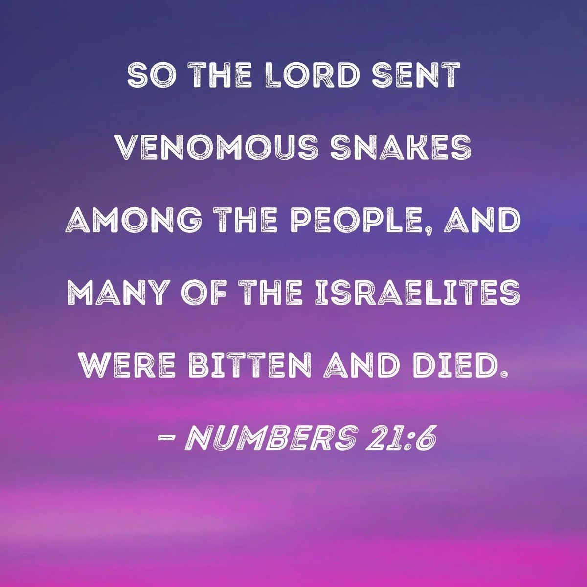 hendrina_hango's tweet image. Embracing wellness and positivity on this journey together 🌟 Let&apos;s uplift our spirits and cherish each day at hohe.wellness.centre 🌺🌸🫶 #HealthJourney #InspirationTime 🌷