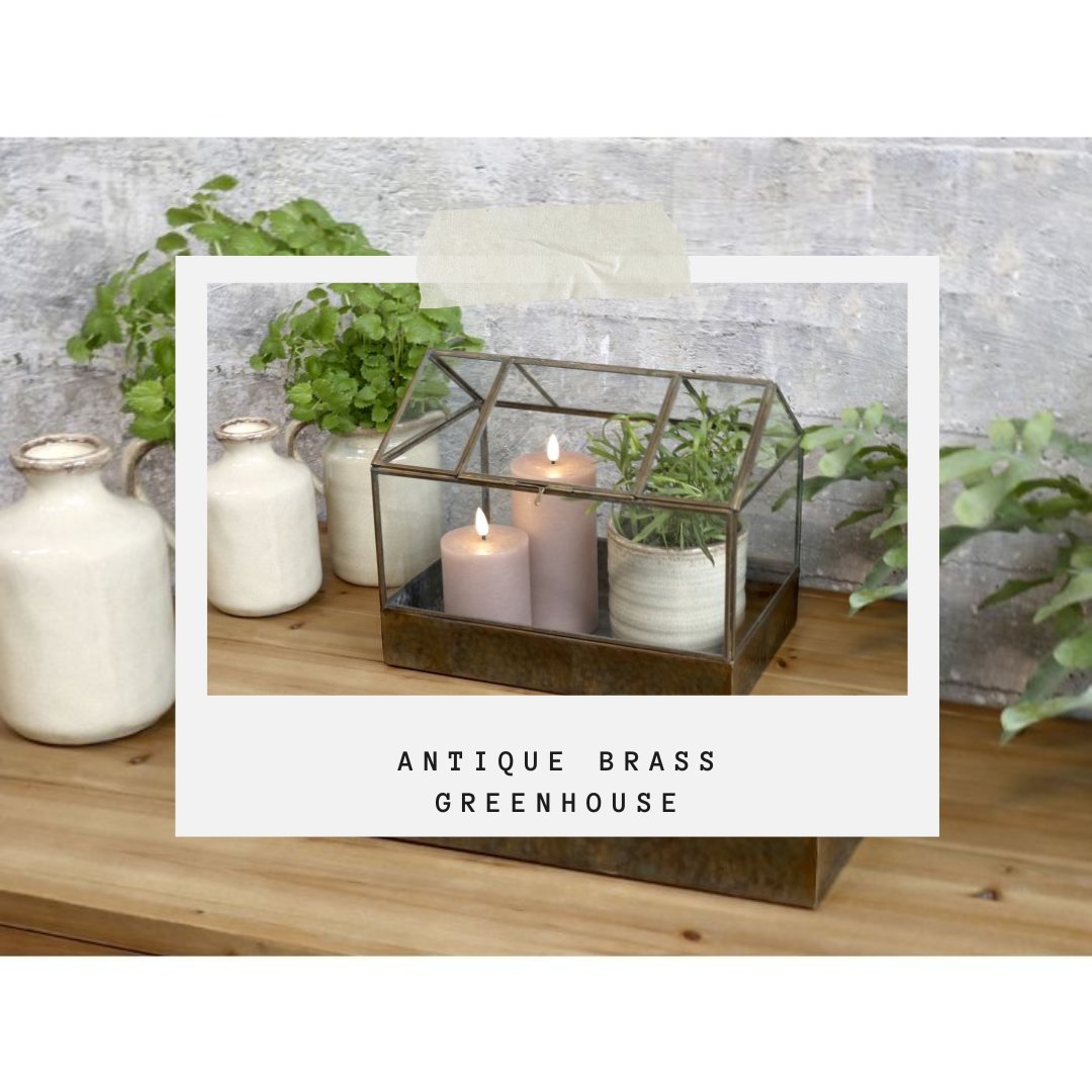 UpTheGardenCo's tweet image. Antique Brass Greenhouses
The Perfect Stylish Propagator📷
upthegardencompany.co.uk/store/search...
#propagator #indoorgarden #brassgreenhouse #greenhouse #gardeninspo #gardenroomdecor #pottingbench #plantcultivation #indoorgardening #gardenstyle #gardenlove