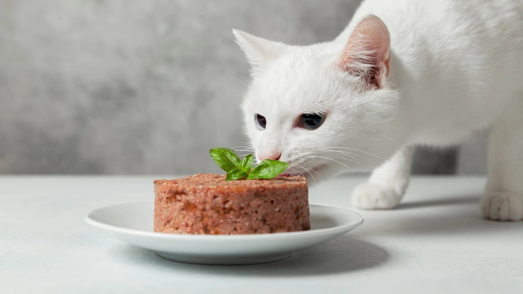 KittyNookCo's tweet photo. Beef, in particular, is abundant in critical amino acids, which are lovely for your feline's wellness.

Read the full article: Cat Chow: A Comprehensive Guide to Foods Cats Can Eat
▸https://t.co/9Y6eE0L1Qi

#CatCare #Cats #Furparent https://t.co/Gh2S1vRoGb
