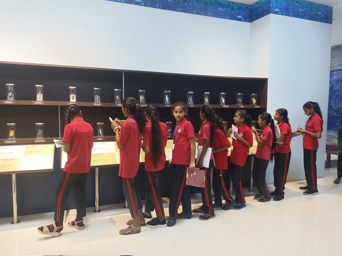 drkalamcsckheda's tweet image. ખેડા જિલ્લાની નડિયાદ તાલુકાની હાથનોલી પ્રાથમિક શાળાના શિક્ષકશ્રીઓ તથા વિદ્યાર્થીઓએ @RSCBhavnagar ni મુલાકાત લીધી  જે અદભૂત અનુભવ છે! પ્રદર્શન ગેલેરીઓ, 3D થિયેટર અને ઇન્ટરેક્ટિવ એક્ટિવિટીઓથી વિજ્ઞાનના ચમત્કારને નજીકથી અનુભવ્યો . #RegionalScienceCenter #Bhavnagar #ExploreScience