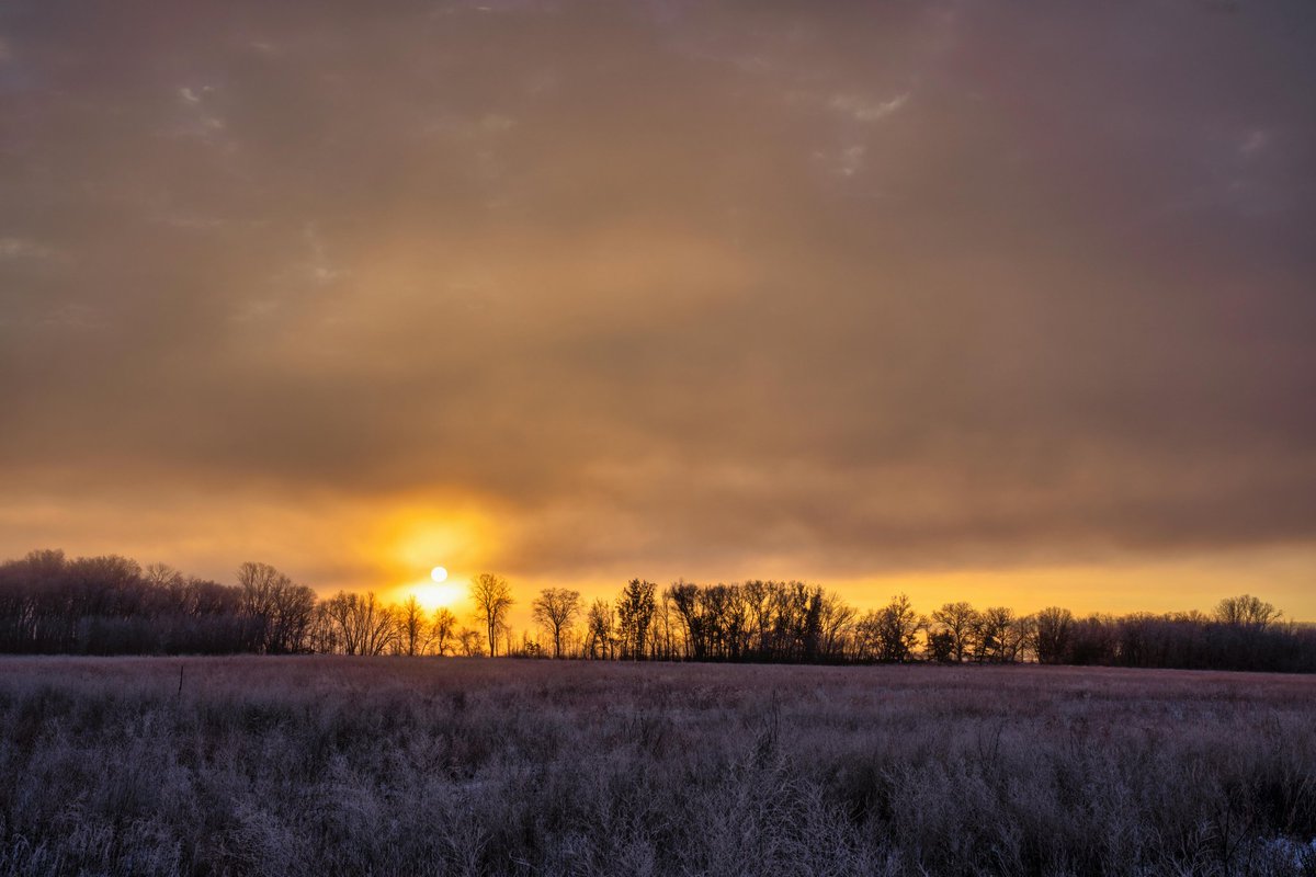 Steve58815862's tweet photo. Good morning everyone. Happy Saturday 🌞☕ 
#28Dec #saturdayvibes #beauty #beautiful #nature #Naturescenery #naturephotography #wallpaper #NatureIsMyInternet #wallpapers #GoodMorningEveryone https://t.co/hcVVFb6kDY