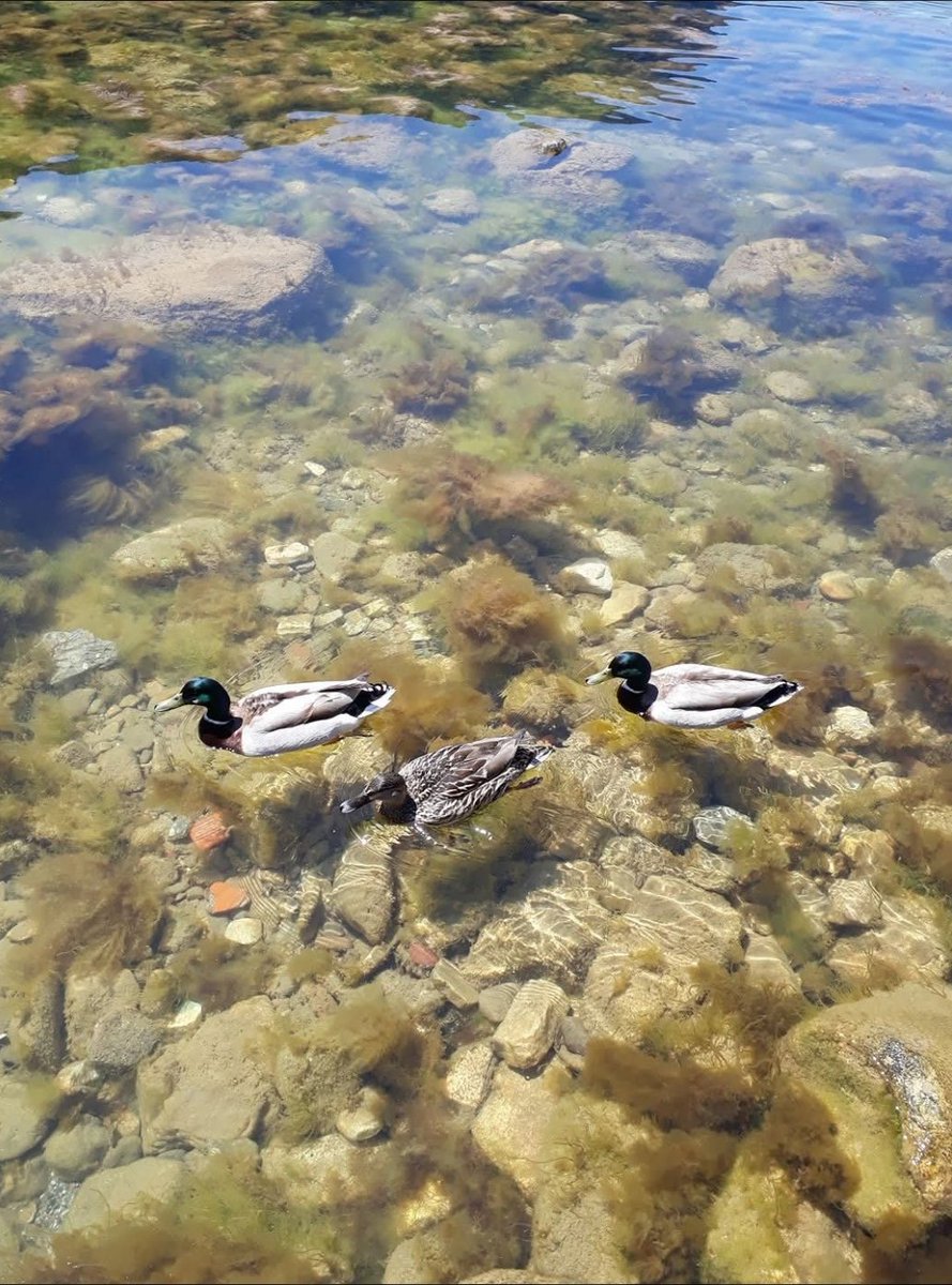 Günaydın, mutlu hafta sonları.