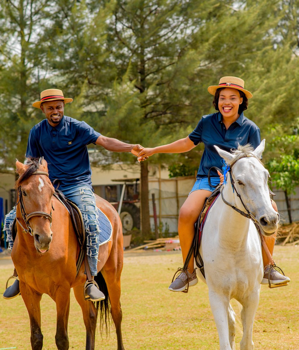 I - P A C  P I C T U R E S® tweet media