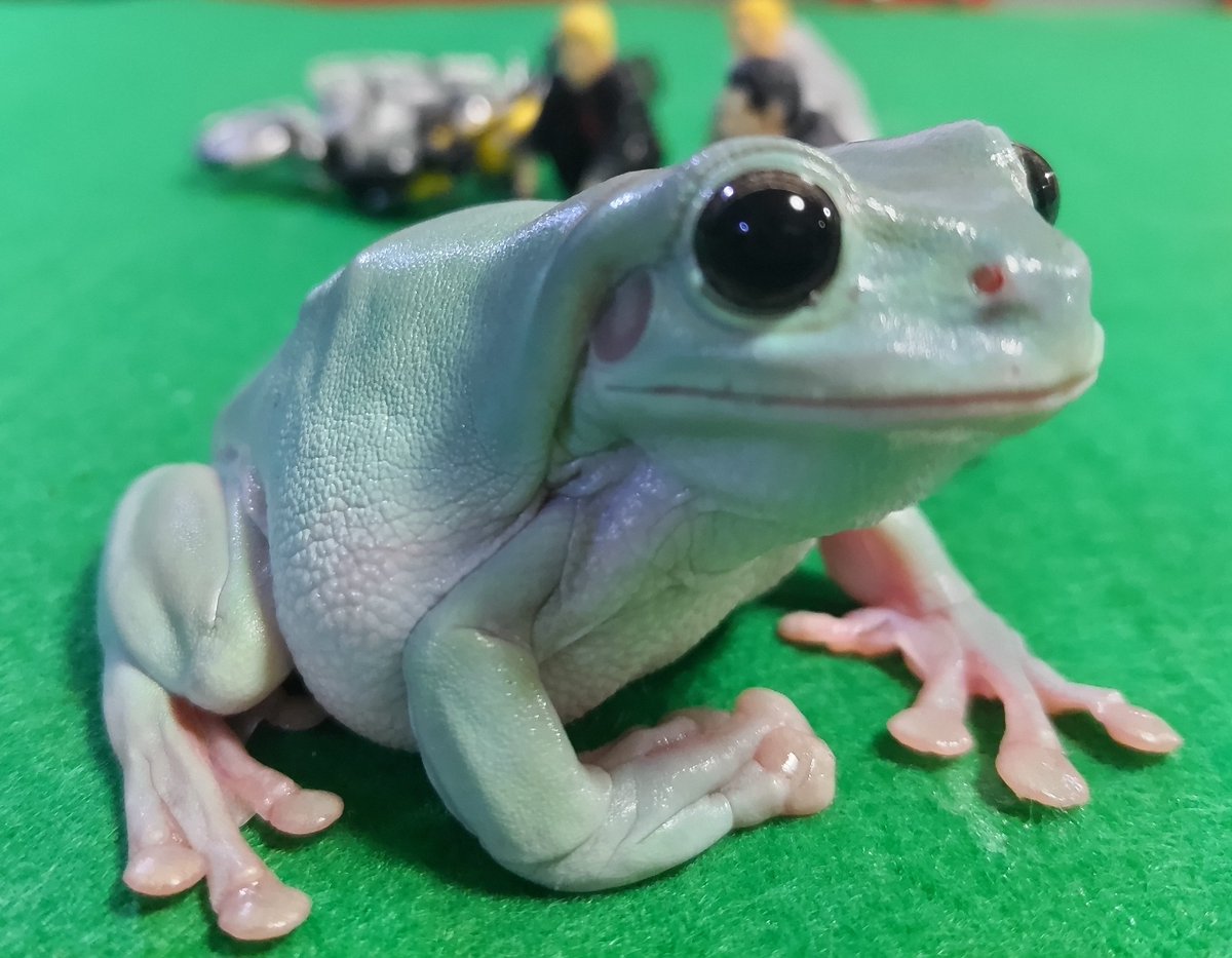 もういくつ寝るとお正月？