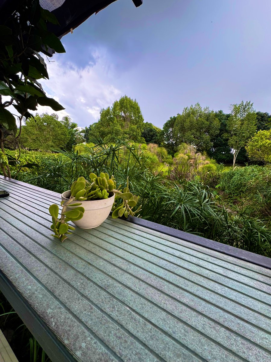 Ebenezer Amadi tweet media