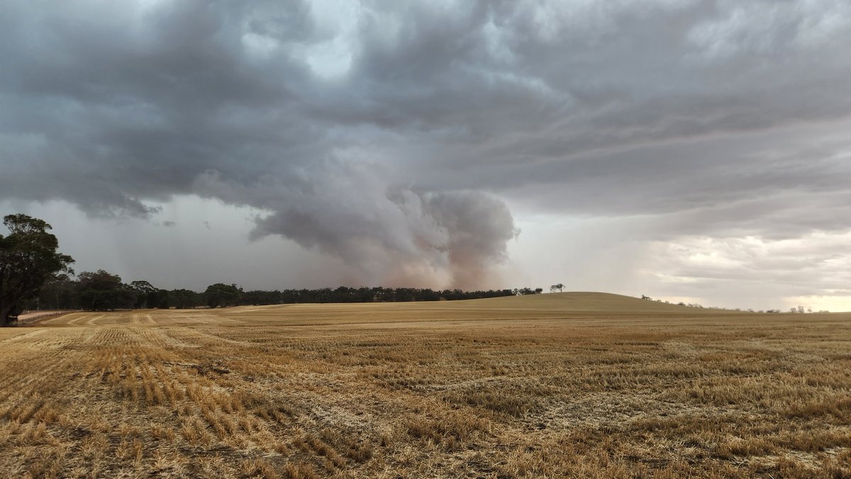 Russell Zwar tweet media