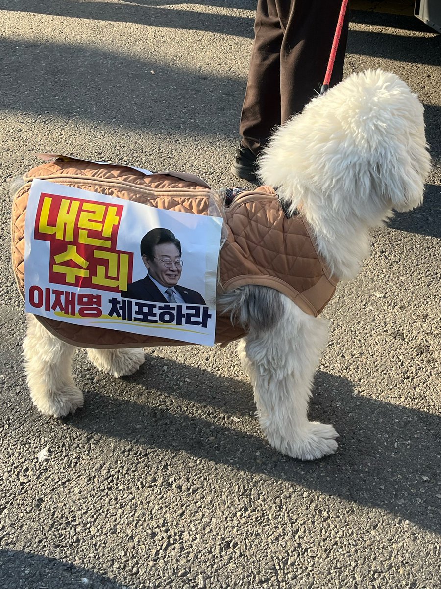 김소연 (@kimsoyeon810803) on Twitter photo 