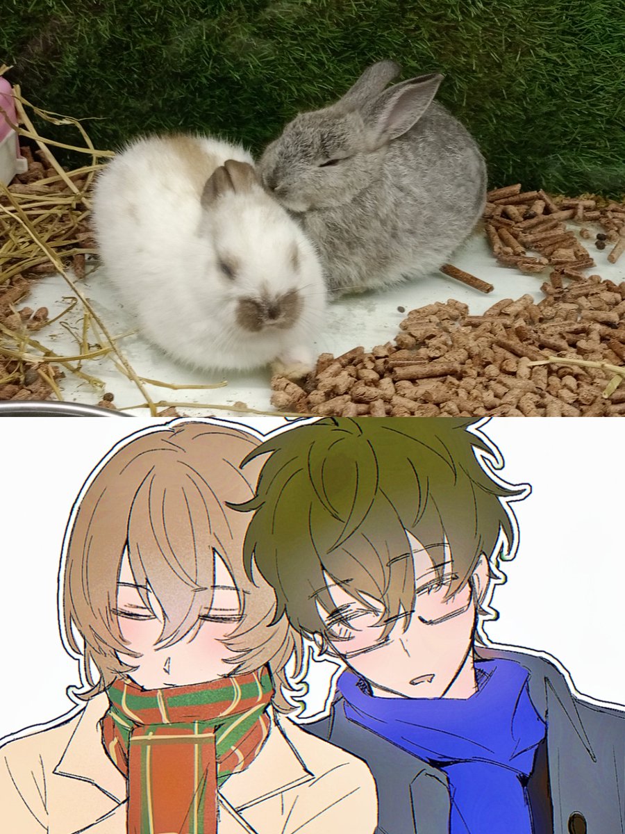 _Aka_616's tweet photo. I see no difference
#ペルソナ5 #主明 #shuake https://t.co/zLbqadsSAu