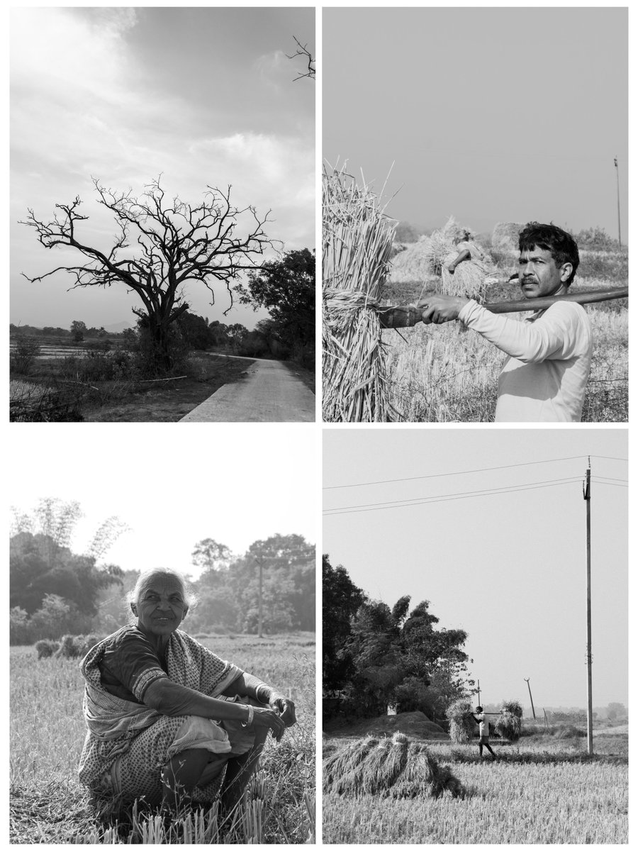 FunkyWizardo's tweet photo. I did some B&amp;W photography📸 when I visited my grandma this winter. https://t.co/07NCYaWbrz