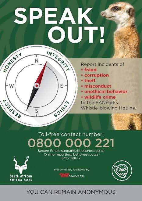 Ranger rage, or misconduct at SANParks? If anyone has had unpleasant experiences with #sanparks ‘raging-rangers’ please report the matters. #SANParks doesn’t operate like this and will definitely deal with the issues #gardenroute #sanparksknysna #plettisawesome #knysnalagoon