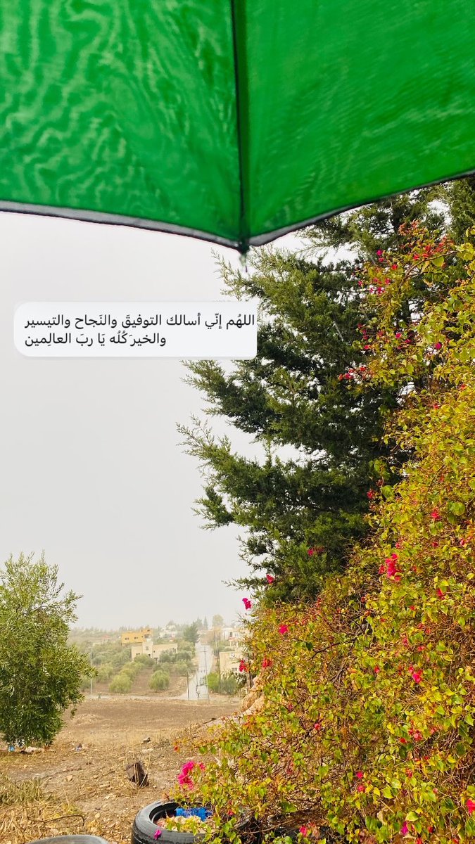 صباح الخير بمعنى الكلمه