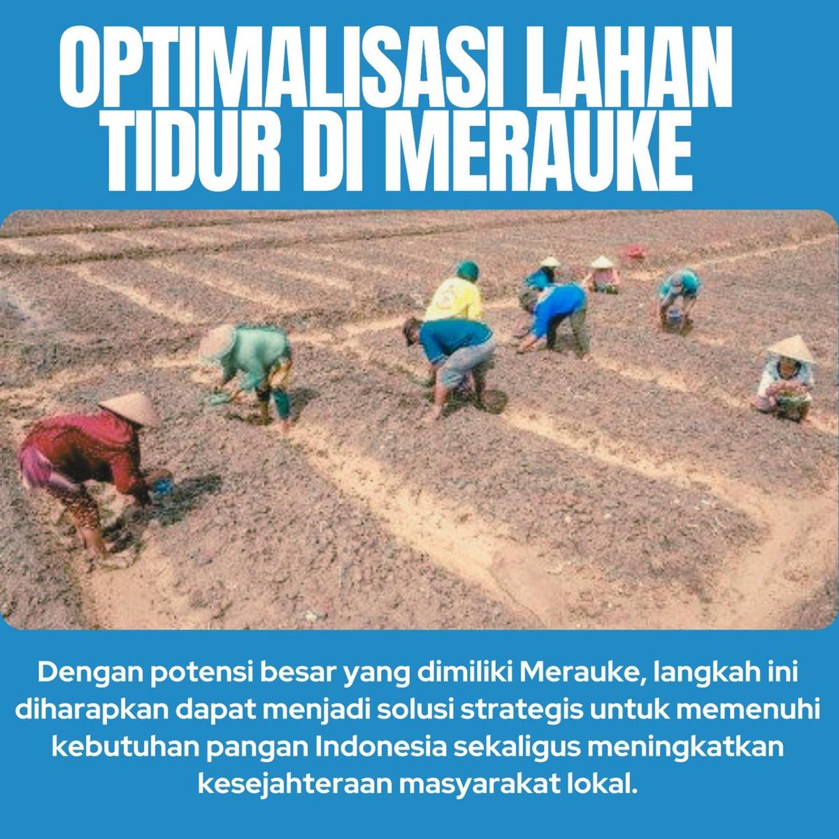 slavinaeee's tweet photo. Memenuhi kebutuhan pangan Indonesia sekaligus meningkatkan kesejahteraan masyarakat lokal.
#VisiPresidenPrabowo
#SwasembadaPangan
#KetahananPangan
#OptimalisasiLahan
#IndonesiaTanpaImpor https://t.co/rffEQHBAp5