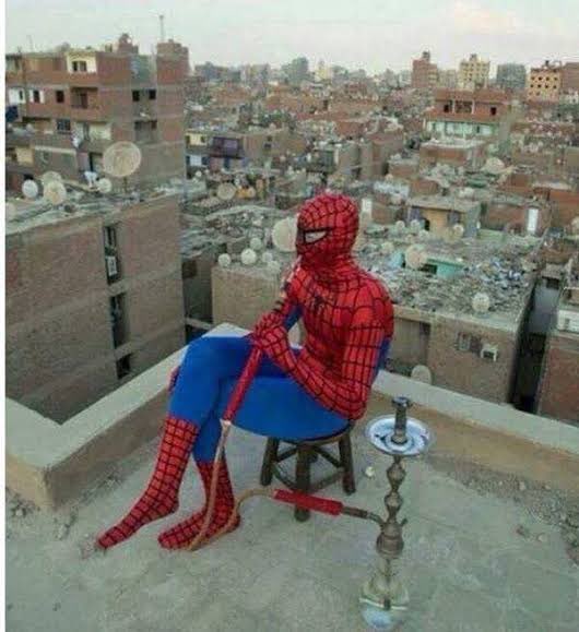 EgeRandom's tweet image. Sınavlara bir hafta kalmış

Ben;