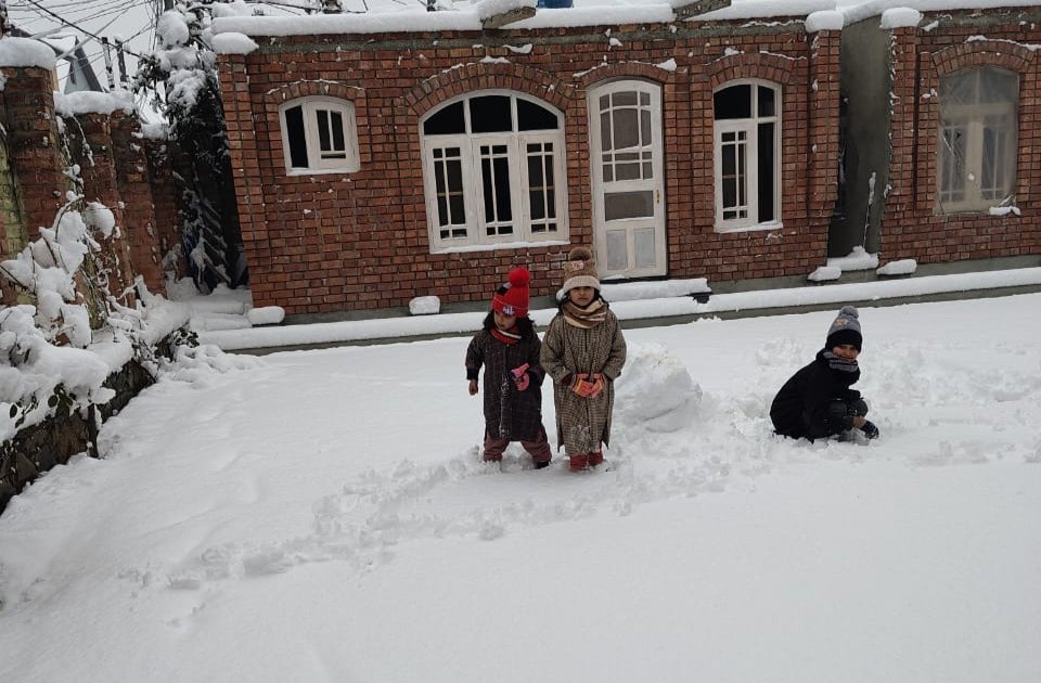 Junaid Wali tweet media