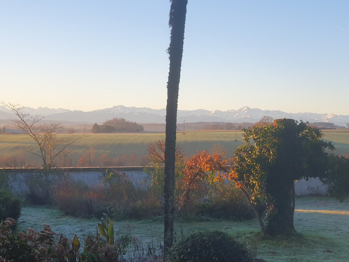 sarahbeattiegra's tweet image. After three foggy mornings, the relief ! #theviewfromhere #rightnow