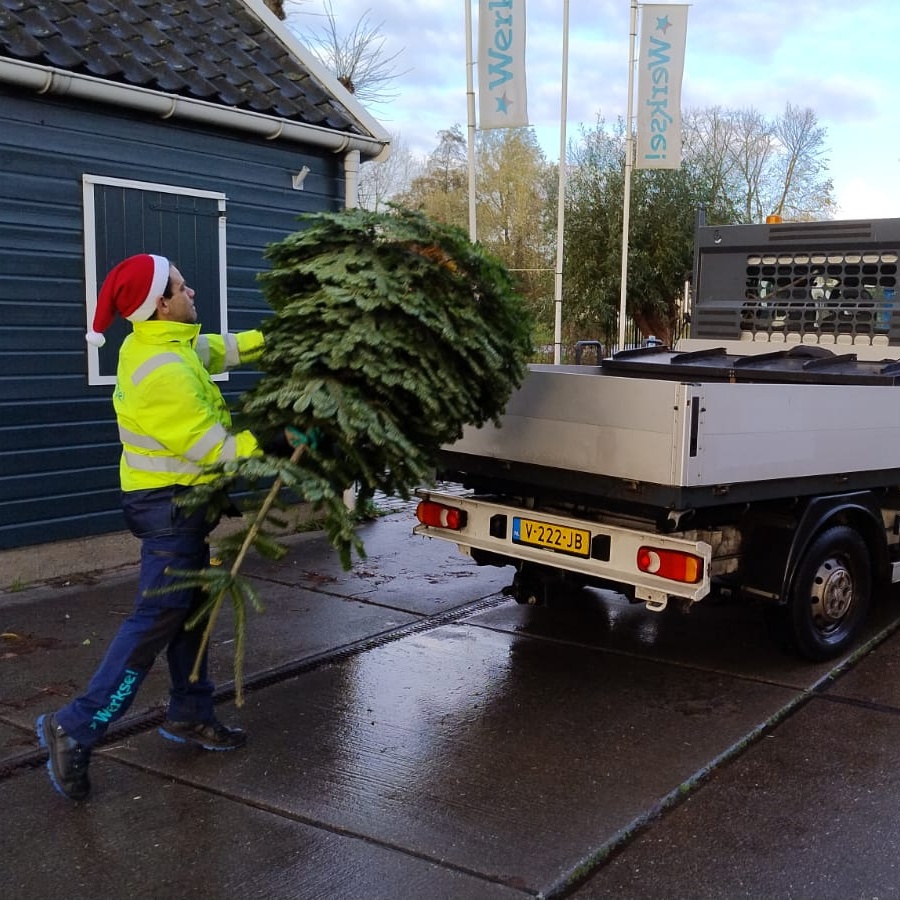 Je kunt jouw kerstboom tot en met 12 januari op twee manieren aanbieden🎄⤵️

👉 Plaats de kerstboom naast een ondergrondse container voor restafval.
👉 Je kunt je kerstboom ook zelf inleveren op 2 januari van 11.00 tot 15.30 aan de Abtswoude 7 en aan de Professor Krausstraat 50.