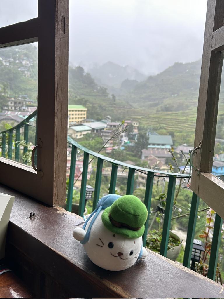 田んぼ見に行ったきゅ
#しろたん