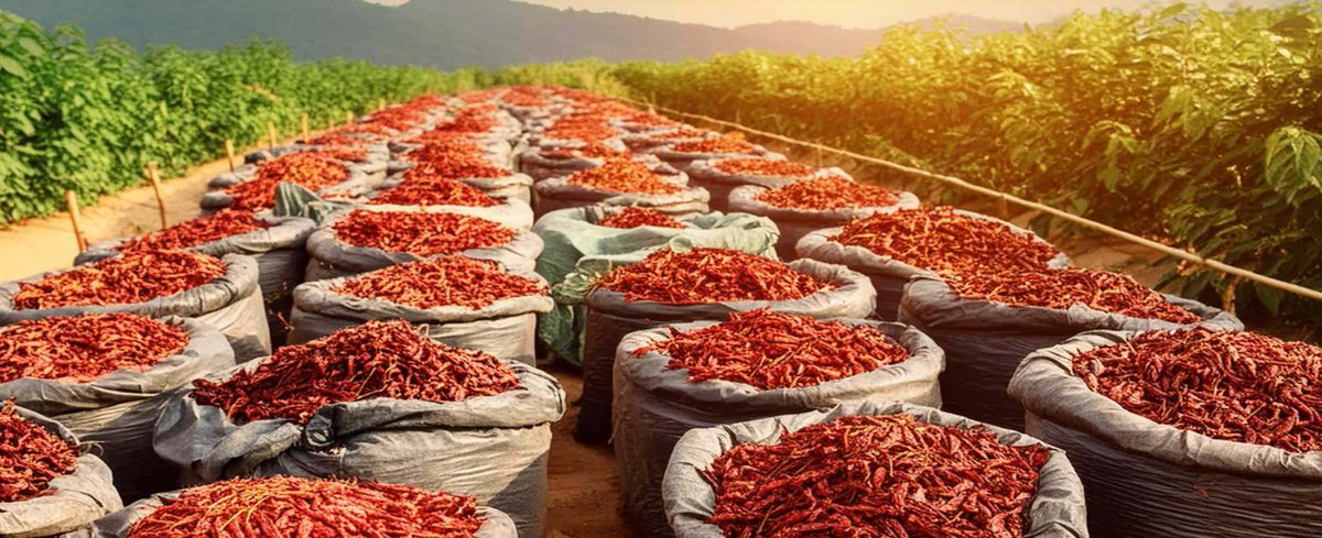 This FMCG COMPANY is targeting Rs. 240 Cr REVENUE in FY25

🧵A thread....

Please bookmark and retweet:)