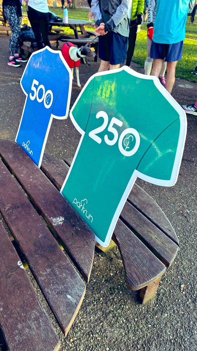 Completed my 250th parkrun at <a href="/r1vrsideparkrun/">Riverside parkrun</a> where they had an Olympian setting us off, bright sunshine and their fabulous milestone shirts. 💚

<a href="/parkrunUK/">parkrun UK</a> #loveparkrun