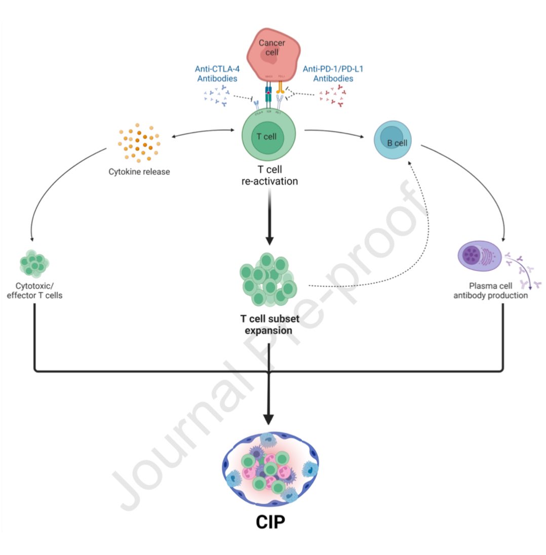 Hayley Gershengorn (@hbgmd) on Twitter photo 🤯 As cancer treatment advances, ICU clinicians must stay up-to-date on caring for complications…
Just out in #journal_CHESTCritCare, <a href="/KMonty_MD/">Kristina Montemayor</a>, <a href="/DrGhanbar/">Mohammad Ghanbar</a>, et al explain how to manage immune checkpoint inhibitor pneumonitis in ICU: 💉🫁
chestcc.org/article/S2949-… 🤯 As cancer treatment advances, ICU clinicians must stay up-to-date on caring for complications…
Just out in #journal_CHESTCritCare, <a href="/KMonty_MD/">Kristina Montemayor</a>, <a href="/DrGhanbar/">Mohammad Ghanbar</a>, et al explain how to manage immune checkpoint inhibitor pneumonitis in ICU: 💉🫁
chestcc.org/article/S2949-…