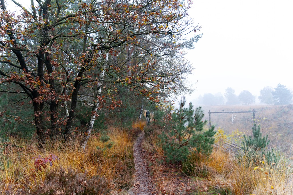 Going out for a ride by yourself, exploring new trails and roads and enjoying nature. ⁠
⁠
#sockeloen #cycling⁠
⁠
sockeloen.com