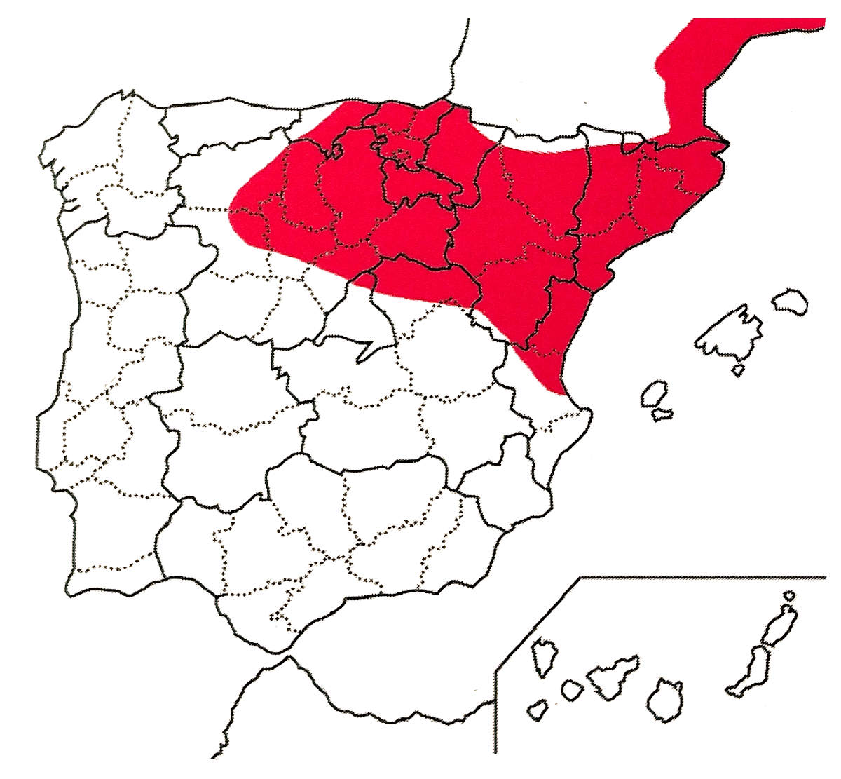 Naturalistes del Montnegre i la Tordera (@nat_mont_) on Twitter photo Un article publicat al darrer butlletí de la <a href="/soccatherp/">Societat Catalana d'Herpetologia</a> confirma i quantifica que la presència de colònies de gats ferals 🐈 és fatal per la sargantana iberoprovençal (P. liolepis) 🦎, espècie endèmica i protegida.
Cal gestionar aquesta problemàtica urgentment! ⚠️ Un article publicat al darrer butlletí de la <a href="/soccatherp/">Societat Catalana d'Herpetologia</a> confirma i quantifica que la presència de colònies de gats ferals 🐈 és fatal per la sargantana iberoprovençal (P. liolepis) 🦎, espècie endèmica i protegida.
Cal gestionar aquesta problemàtica urgentment! ⚠️