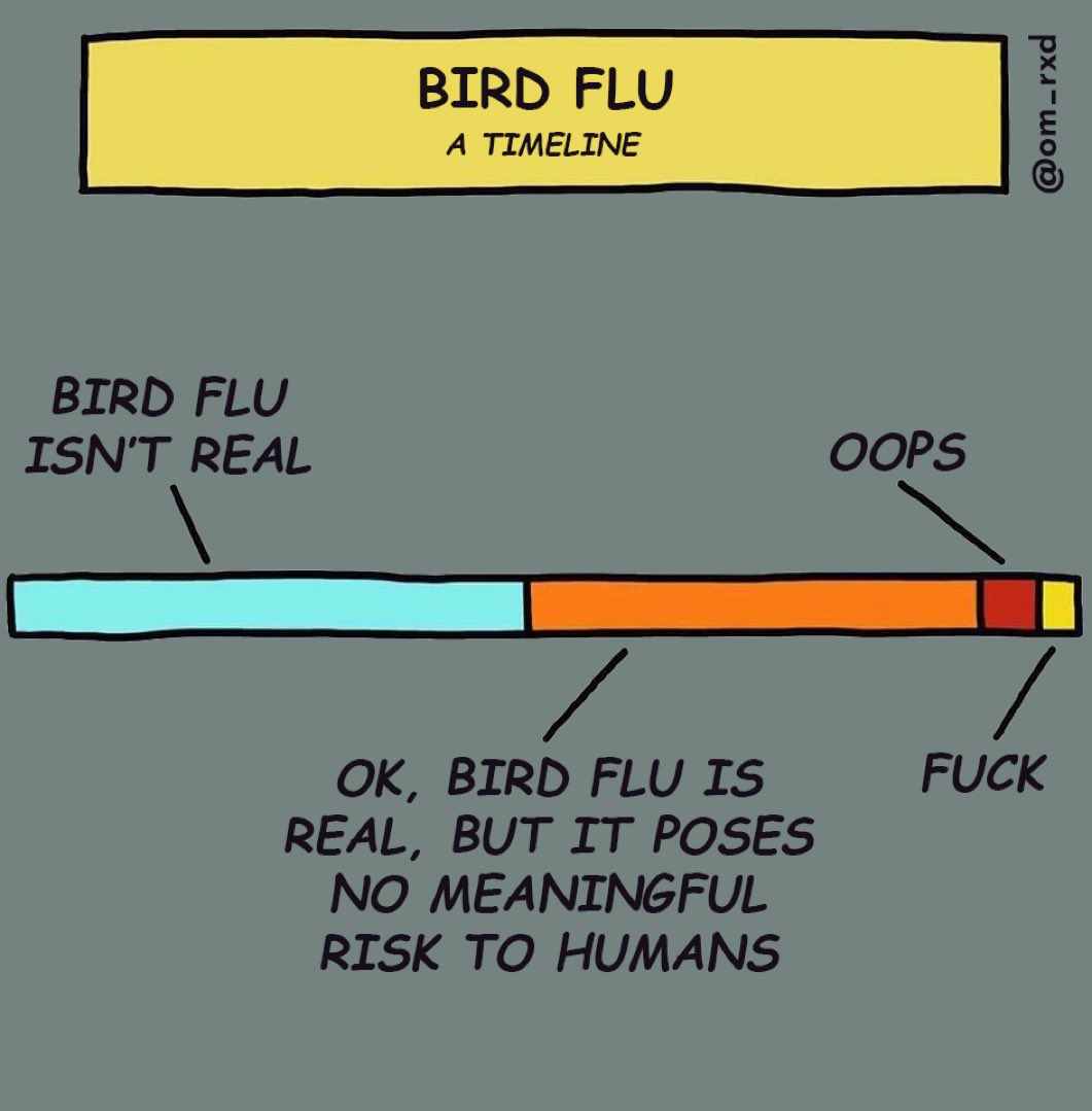 Timeline
