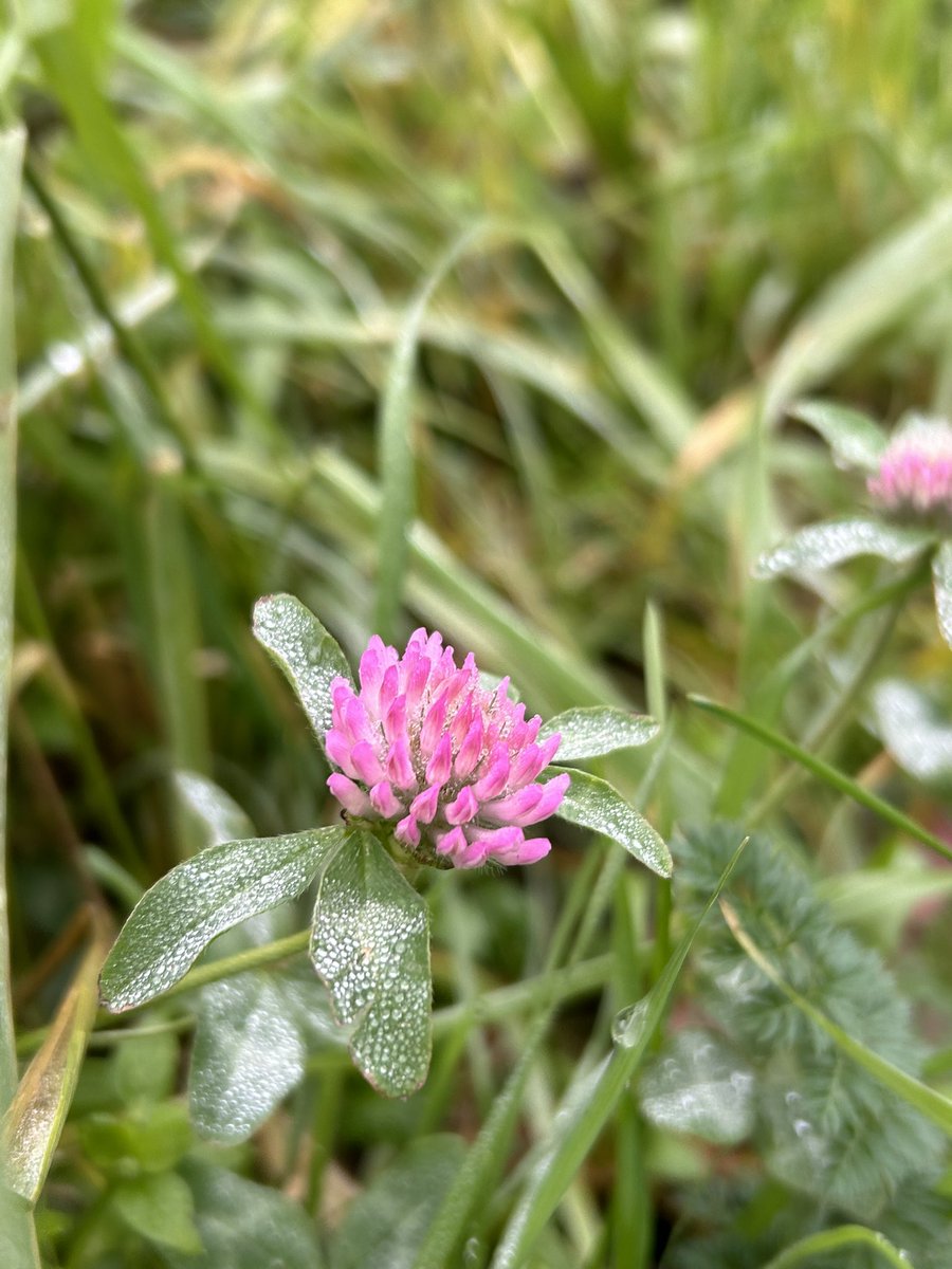 Nationaal Park Rotterdam tweet media