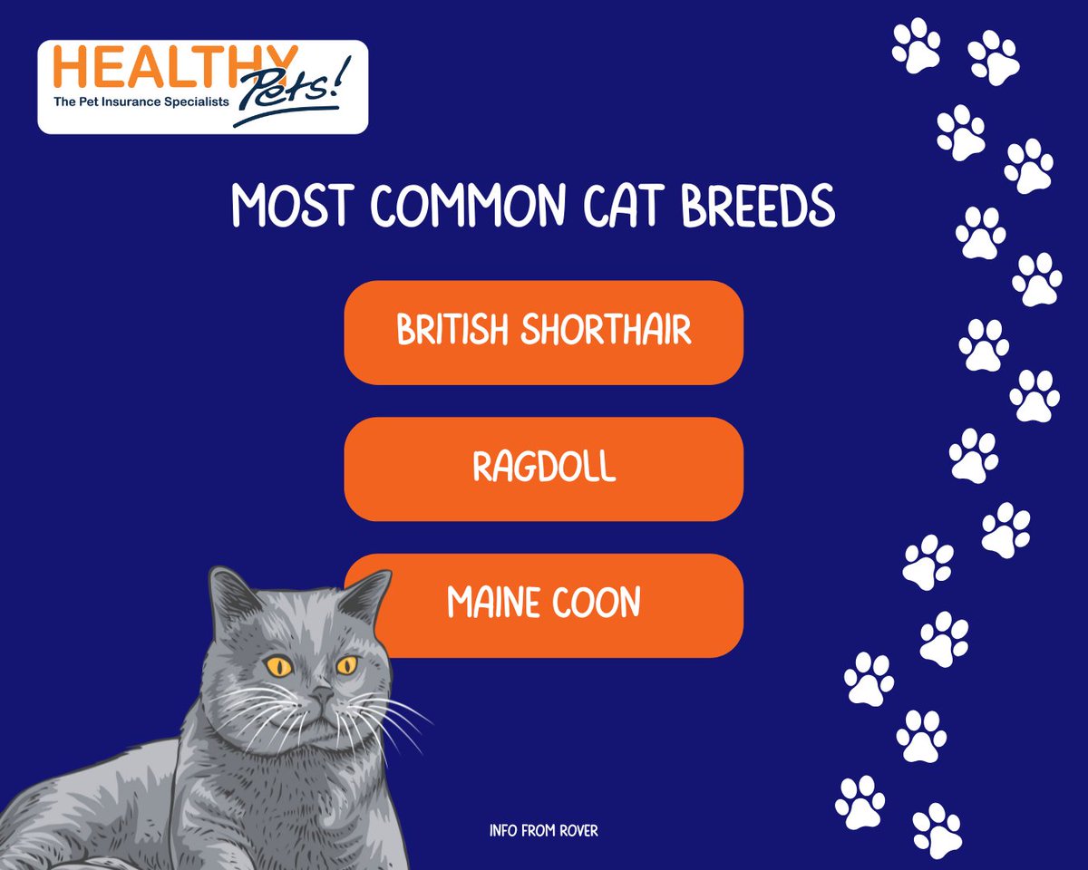 Healthy Pets Insurance tweet media