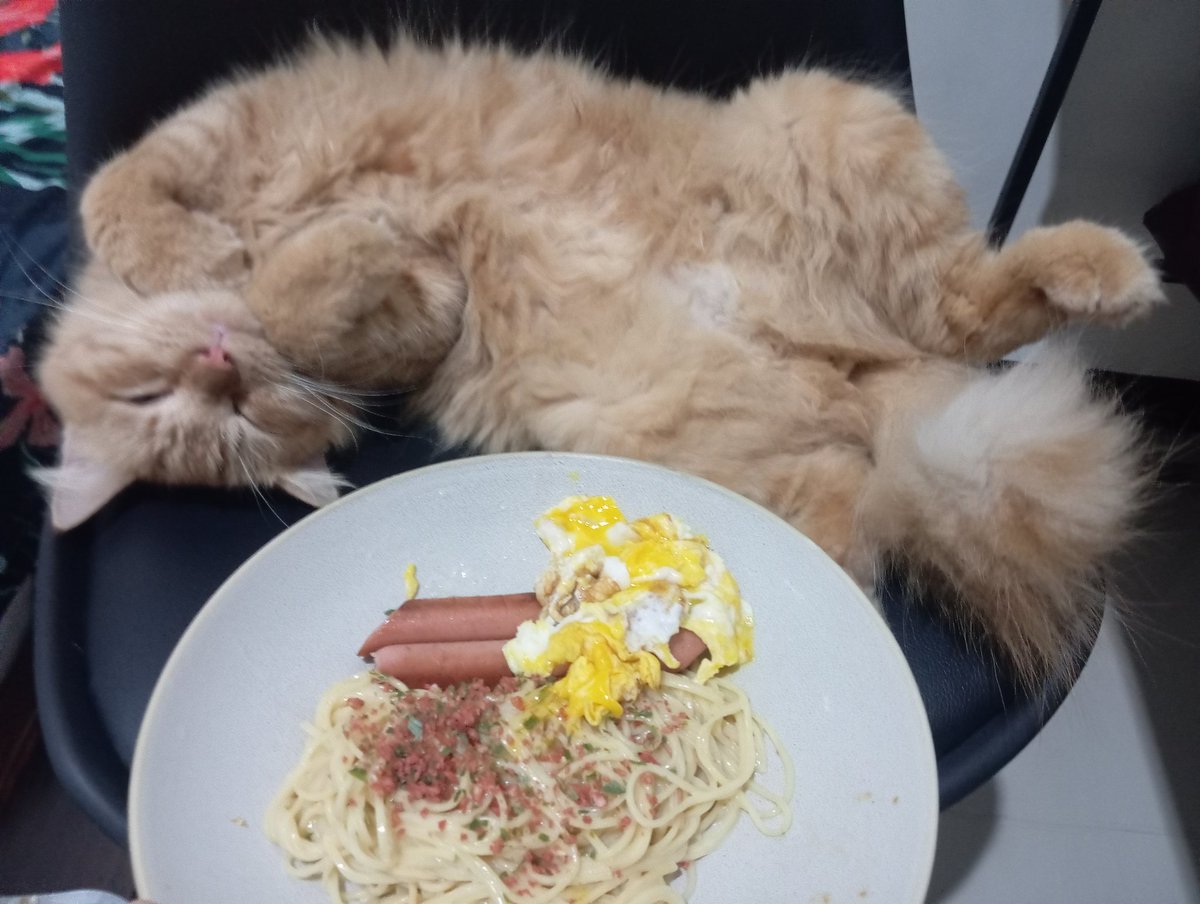 devandratwt's tweet image. Ga kebangun.