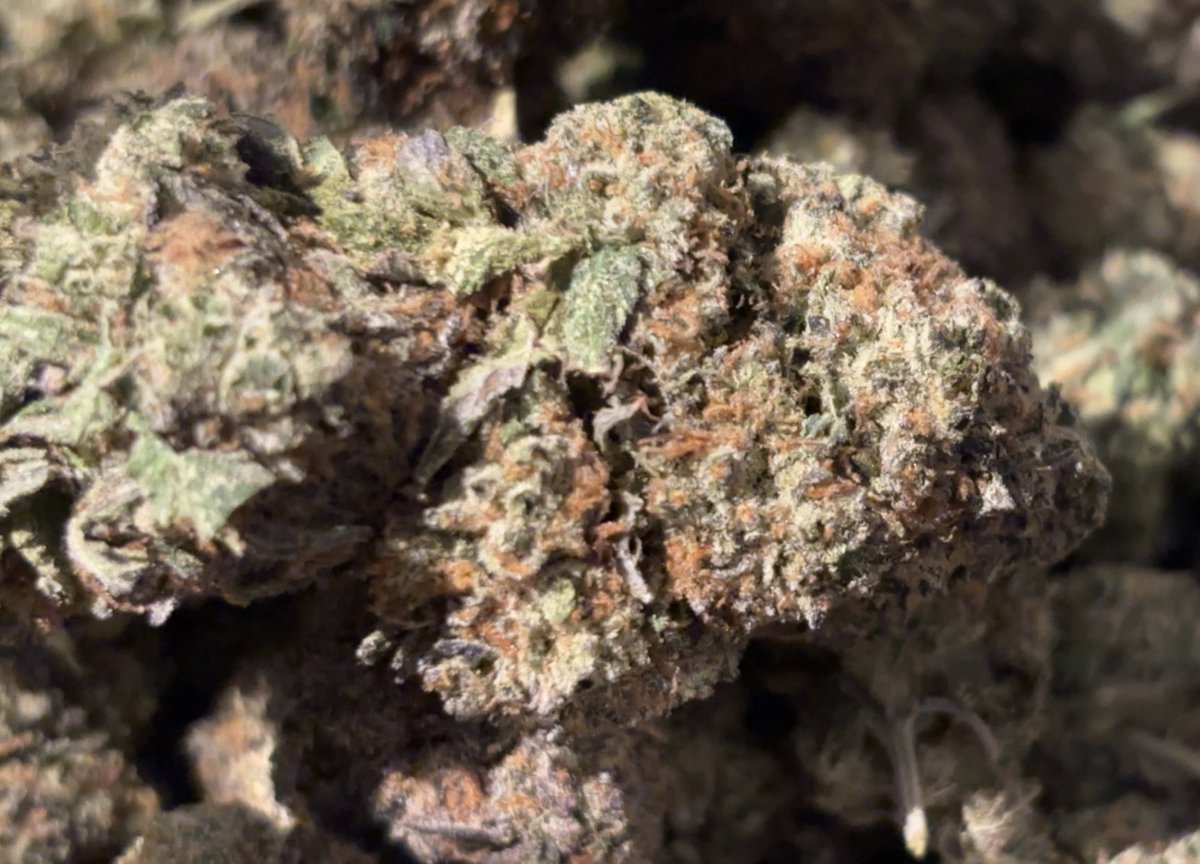 Morningggg I’ve got a treat for you ⛽️#Dallas 💨🔥#morningblunt #DFW #FTWorth 🍃