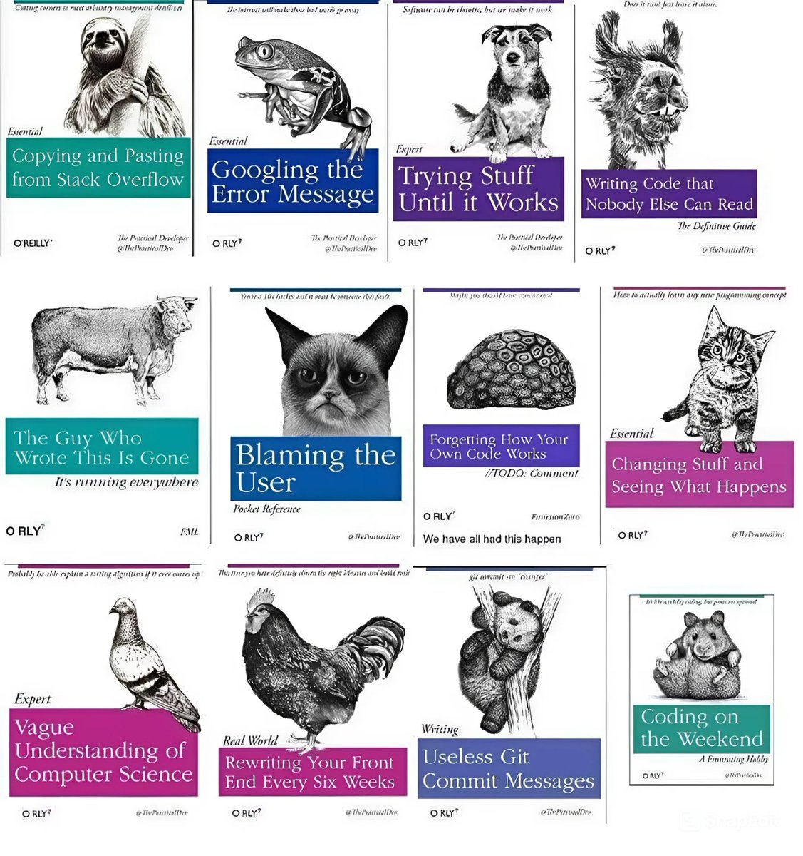 GitHub Projects Community tweet media