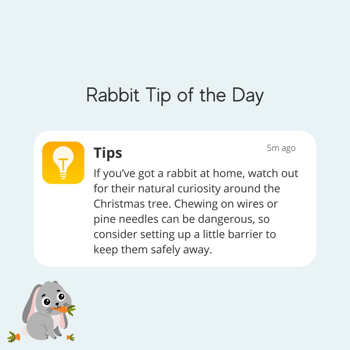🎄🐇 Rabbits are naturally curious, and that Christmas tree might look like the ultimate playground!

#rabbitcare #bunnyparents #holidaybunnies #bunnylife #festivepets #rabbitsafety #bunnylove #petcaretips #rabbits #rabbitlover #rabbitmom #rabbitdad