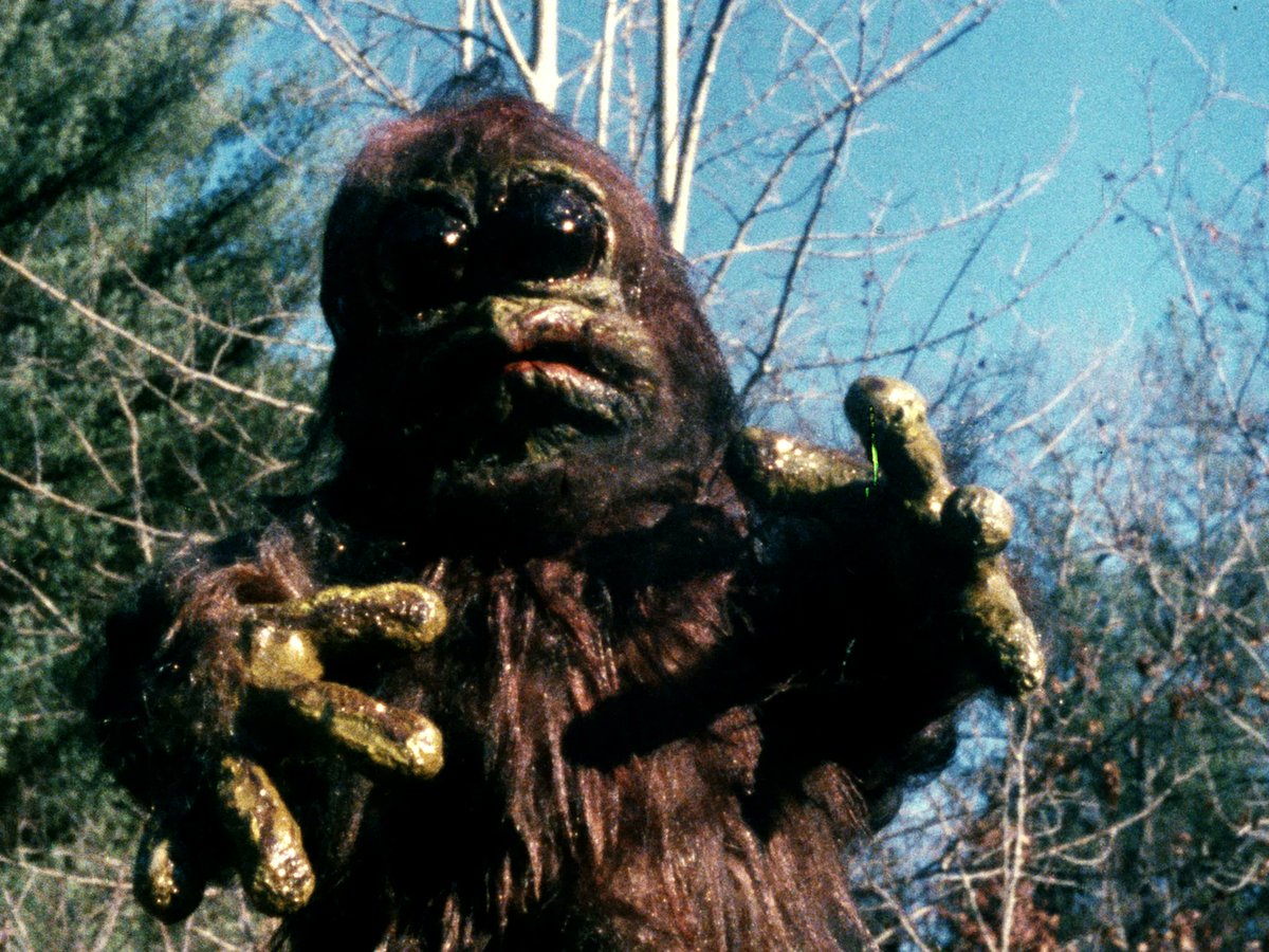 MattDalton80's tweet photo. WINTERBEAST (1992)
#90sHorror #DIYhorror #backyardhorror #cultclassic #monstermovie #sobaditsgood https://t.co/Q7urXJ9YIA