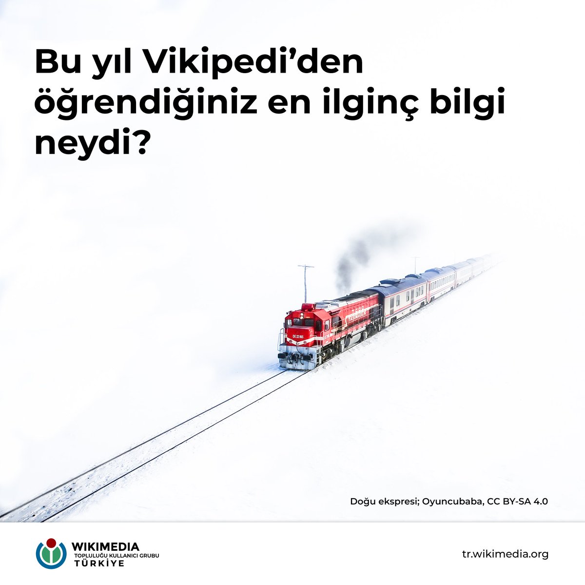 WikimediaTurkey's tweet photo. Bu yıl boyunca belki de saatlerce Vikipedi'deki bilgilerin arasında dolaştık.
💬 Bu yıl Vikipedi'den öğrendiğiniz en ilginç bilgi neydi?
Yanıtlarınızı bekliyoruz.
#WMTR #Wikimedia #Sorucevap https://t.co/lTYSbVyTsQ