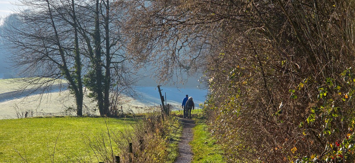 marcelbar8's tweet photo. Wandel vandaag weer in @magnifiekZL onder #Epen.
Stralend weer. De ochtend begon met veel rijp en dat was prachtig. Passeerde inmiddels al de buurtschappen #Eperheide (F2), #Diependal, #Terziet (F4) en #Kuttingen. Nu naar 't Geuldal.
F1 #Wijlre
F3 kasteel #Beusdael https://t.co/DJCKtLmX0s
