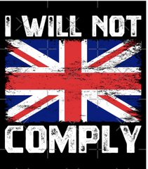 WeLeftTheEUSSR's tweet photo. Over the last couple of weeks especially, I've seen a huge surge in patriotism &amp; the urge to fight back &amp; not just sit back, moan about all that is wrong but do nothing. This is only going to grow as the word is spread.

We are the media now.  👊

Come on!  Make yourselves heard! https://t.co/wO90J38BJI
