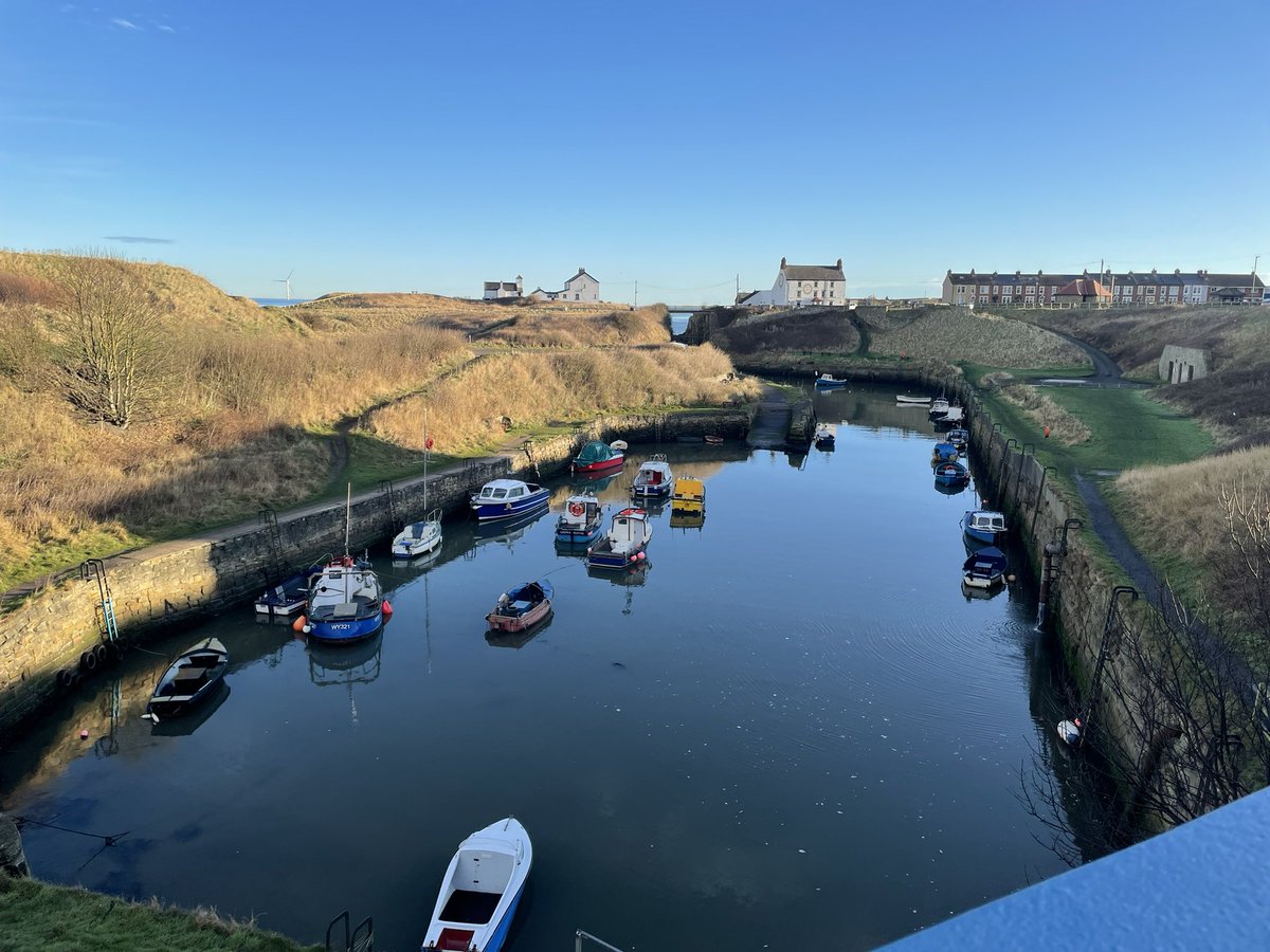 Helen Chapman tweet media