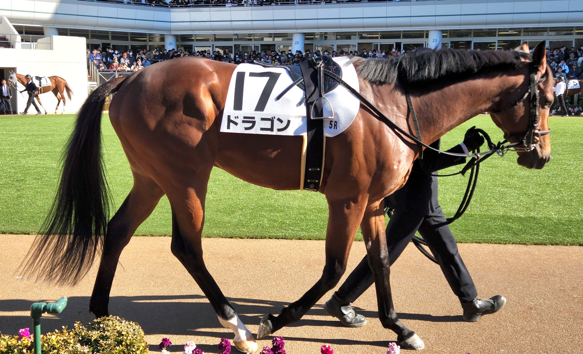 アルデラックス - Search / X