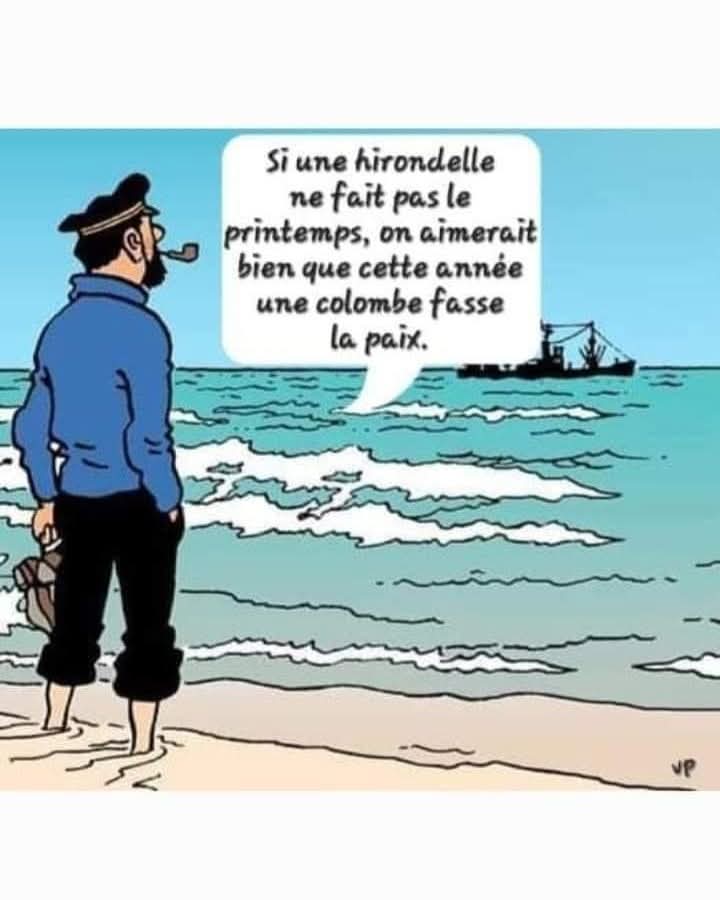 Barna (@montbarna) on Twitter photo 