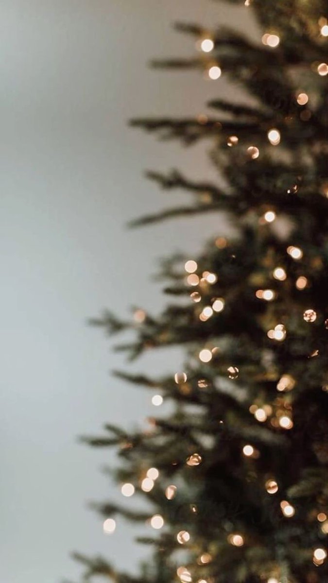 GM 🎇

The New Year is just around the corner! May it bring fresh opportunities, bold dreams, and endless creativity.

Let’s step into 2025 ready to create and inspire.